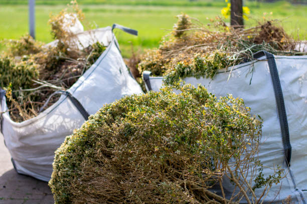 Best Construction Debris Removal  in Washgton, IN